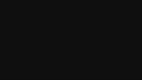 11036