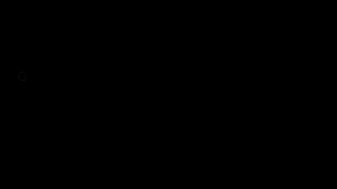 44504
