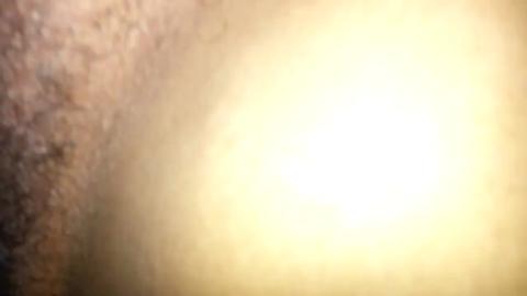 41586