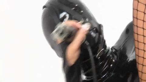 8491