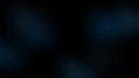25225